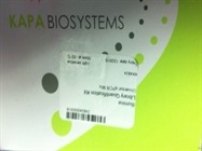 Quantification of DNA Sequencing Libraries for Next Generation Sequencing in Illumina Sequencing Platform