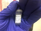 Mouse IFNAR1 Antibody For Immunoblot