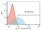 Antibody For MSCs Phenotype