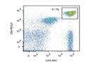 Staining PBMC With Anti-CD4 PE/Cy7