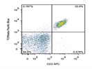 Staining Mouse WBC With Anti-TCR-Beta Pacific Blue