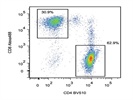 Staining PBMC With Anti-CD8 Alexa488