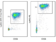 APC/Fire750 Works Well Has Many Applications For Neutrophils Conjugated To Anti-Ly6G