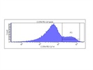 Good Antibody To Identify CCR4+ PBMCs