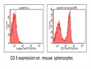 Good Anti-Mouse CD3 Antibody