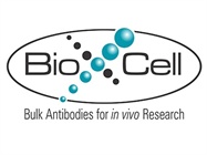 10% OFF ALL CATALOG ANTIBODIES, ISOTYPE CONTROLS, AND FUSION PROTEINS!