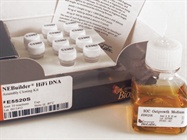NEBuilder® HiFi DNA Assembly Cloning Kit