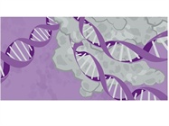 Start discovering more, faster with our New Lab Program