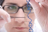  Seamless Cloning Technologies
