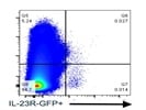 Anti-GFP Antibody FITC Conjugated To Enhance Signal In Flow