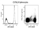 Biolegend Anti-Mouse B220 Antibody For Flow Cytometry