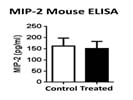 MIP-2 ELISA In Mouse Samples
