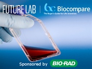 Future Lab - Scaling Up Protein Production