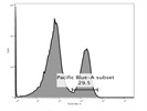 Great CD8a Flow Cytometry Antibody