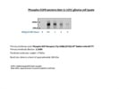 Review of Phospho-EGFR antibody from Cell Signaling Technology