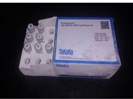 An Optimal cDNA Synthesis Kit for Real Time Gene Quantification