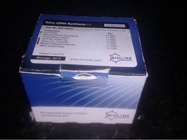 A Robust Product from BIOLINE