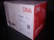 A Great DNA Gel Extraction Kit
