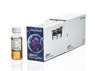 Gibco One Shot Fetal Bovine Serum 50 mL Bottle