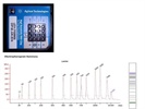 A Solution for Accurate DNA Sizing