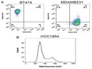 Millipore's Benchtop Flow Cytometer