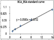 BCA Kit From Thermo Fisher For Protein Quantification