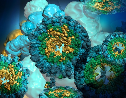 Glycobiology Tools | Biocompare: The Buyer's Guide for Life Scientists