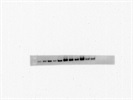 Good Src Antibody