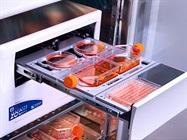 Audio Webinar: Smart Cell Monitoring - Resolving the Changing Needs of Cellular Research With Continuous Live-cell Analysis
