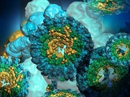Glycobiology Tools