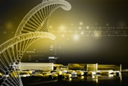 Molecular Diagnostics: Bringing Together Multi-Omics Approaches