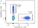 Very Good CD3 Antibody