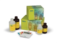 Clarity and Clarity Max Western ECL Blotting Substrates