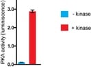 PKA Activity Assay Kit From Enzo Life Sciences