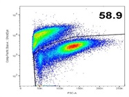 Bright And Easy Viability In The Pacific Blue Channel