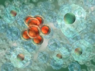  Keeping Tabs on Host-Cell Proteins