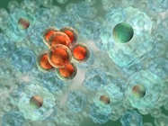 Future Lab: Keeping Tabs on Host-Cell Proteins