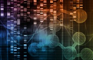  RNA-Seq: The Next Wave of Transcriptome Analysis