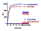 Reliable High Throughput Surface Plasmon Resonance System