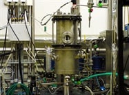 Outsourcing: A Viable Solution for Monoclonal-Antibody Production