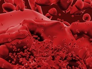  Mycoplasma Testing-Zapping the Nasty Critters