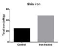 Skin Total Iron Level