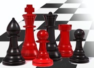 Inflammasomes. Keep Players in Health and Disease