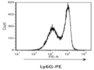 Ly-6G Flow Cytometry Antibody That Stains Specifically