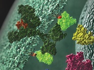 The New Gold Standard in Kinase Detection