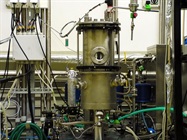 Future Lab - Outsourcing: A Viable Solution for Monoclonal-Antibody Production