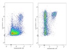 Good CD45RA Antibody From Biolegend