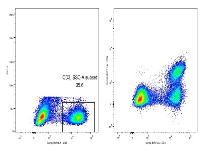 Great CD3 Antibody | Biocompare Antibody Review