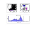 Good Antibody To Identify CD69+ Cells In Human Bone Marrow