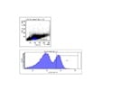 Good Antibody To Stain For CD161+ Human Cells